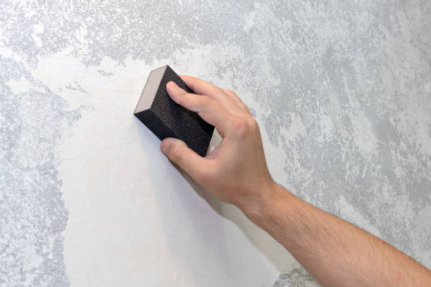 Professional Mold Removal in Corralitos, CA