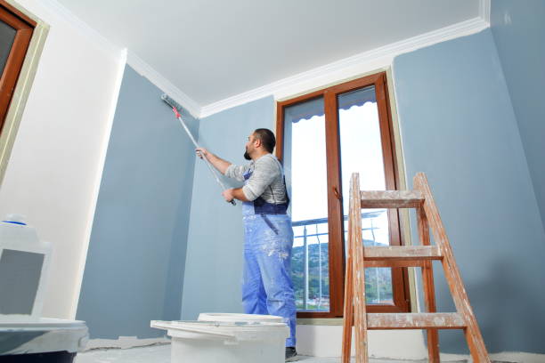 Best Basement Mold Removal  in Corralitos, CA